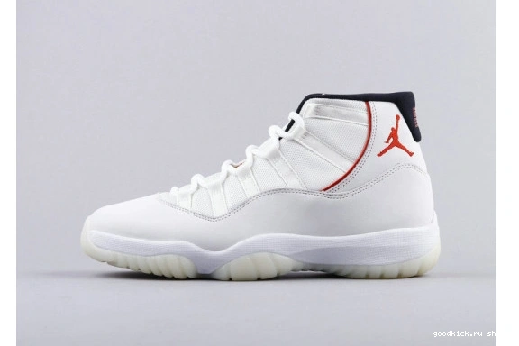 378038-016 Platinum Jordan (GS)  Retro Tint 378038-016 11 0515
